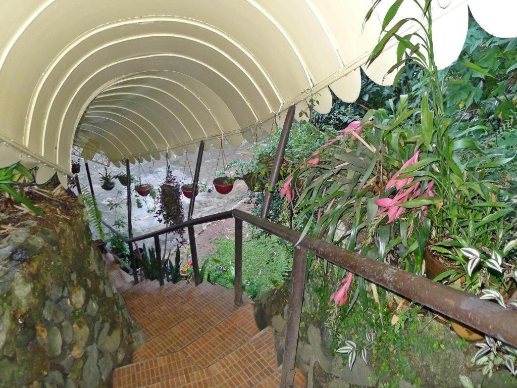 Mountain Lodge And Restaurant Baguio City Екстериор снимка