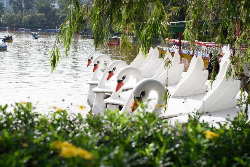 Mountain Lodge And Restaurant Baguio City Екстериор снимка