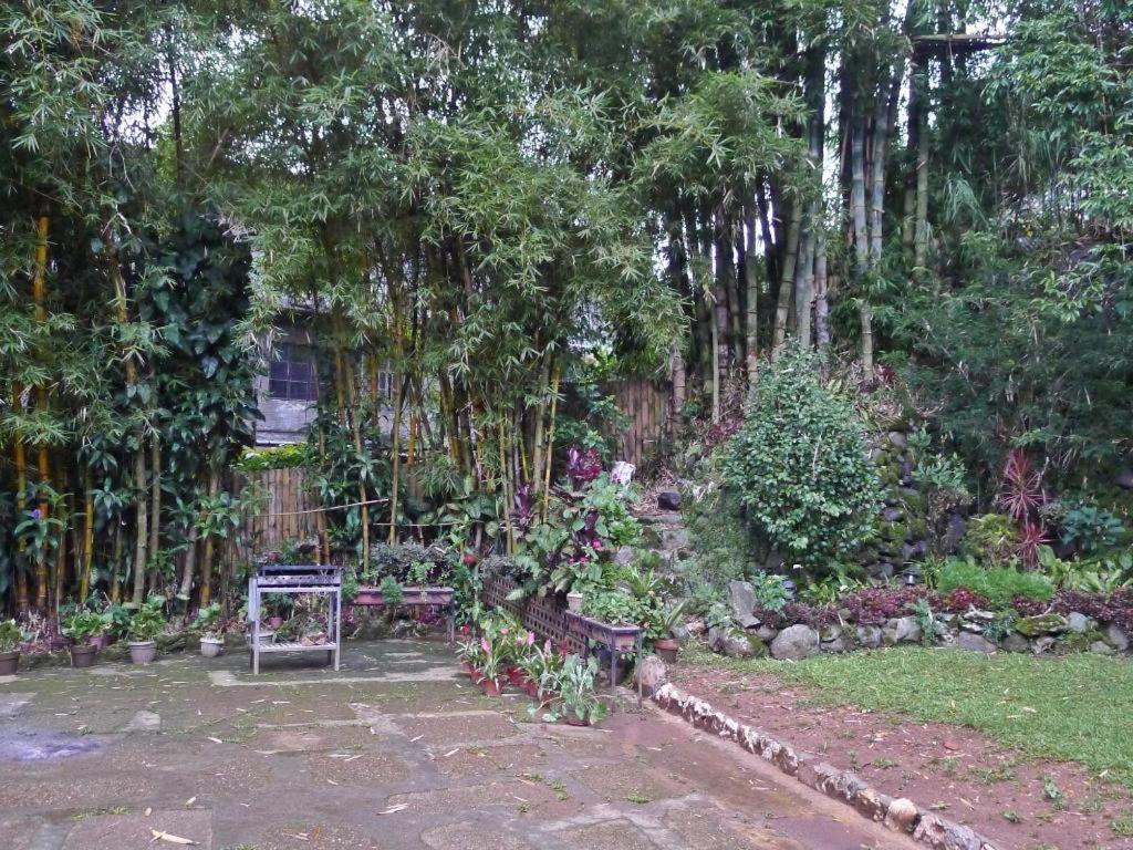 Mountain Lodge And Restaurant Baguio City Екстериор снимка